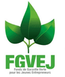 FGVEJ Logo